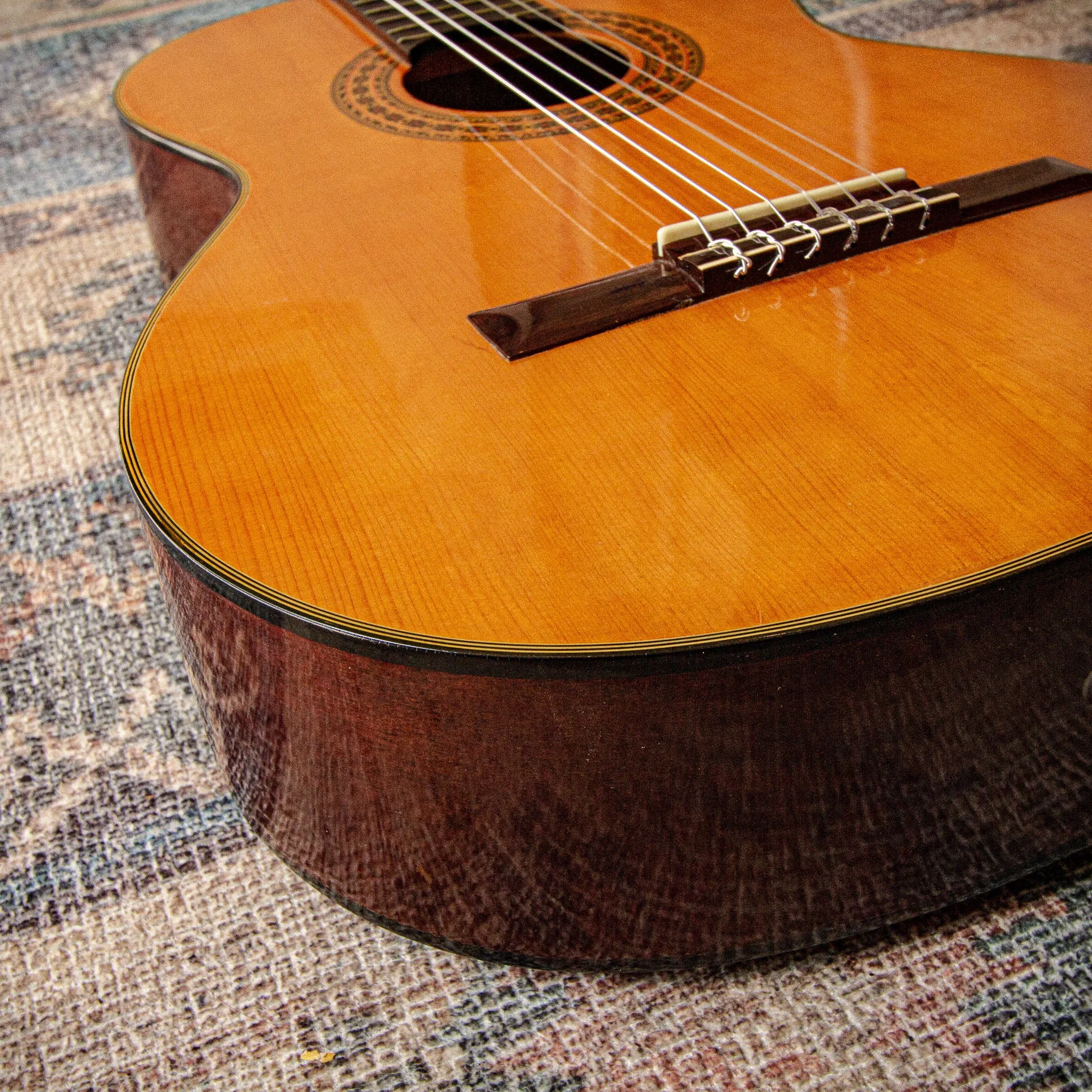 Wayne W-30 Classical Acoustic c1975