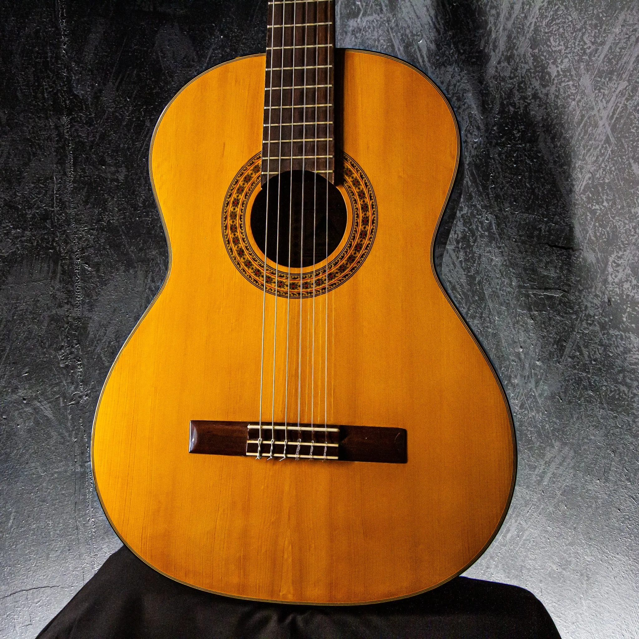 Wayne W-30 Classical Acoustic c1975